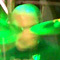 Hiver - Printemps 2007