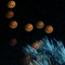 Spectrum 2006-12-08