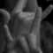 Spectrum 2006-12-08