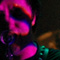 Spectrum 2006-12-08