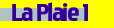 Plaie1