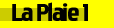 Plaie1