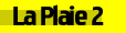 Plaie2