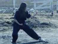 wushu